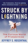 Image for Struck By Lightning: The Curious World Of Probabilities