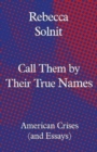 Image for Call them by their true names  : American crises (and essays)