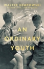 Image for An ordinary youth