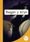 Image for Mets Maesllan: Bwgan y Bryn