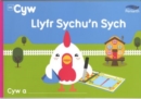 Image for Llyfr Sychu&#39;n Sych Cyw