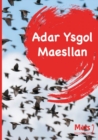Image for Mets Maesllan 2 - Adar Ysgol Maesllan