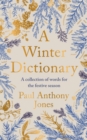 Image for A Winter Dictionary