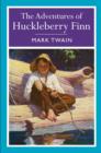 Image for The adventures of Huckleberry Finn