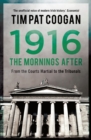 Image for 1916: the morning after
