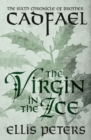 Image for The virgin in the ice : 6