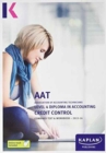 Image for AAT level 4 diploma in accounting, credit control: Combined text &amp; workbook - 2015-16
