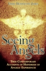 Image for Seeing angels