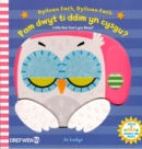 Image for Dylluan Fach, Dylluan Fach - Pam Dwyt Ti Ddim yn Cysgu? / Little Owl Can&#39;t You Sleep?