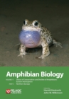 Image for Amphibian biology.Volume 11,: Status of conservation and decline of amphibians - Eastern Hemisphere