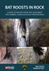 Image for Bat roosts in rock  : a guide to identification and assessment for climbers, cavers &amp; ecology professionals