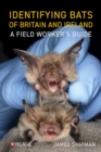 Image for Identifying Bats of Britain and Ireland : A Field Worker’s Guide