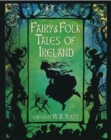 Image for Fairy &amp; folk tales of Ireland