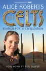 Image for The Celts  : search for a civilization