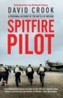 Image for Spitfire Pilot