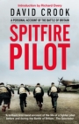 Image for Spitfire pilot