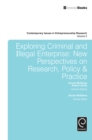 Image for Exploring criminal and illegal enterprise: new perspectives on research, policy &amp; practice