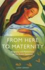 Image for From here to maternity: pregnancy and motherhood on the autism spectrum