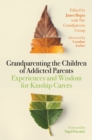 Image for Grandparenting the children of addicted parents: experiences and wisdom for kinship carers
