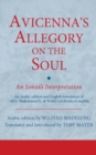 Image for Avicenna&#39;s allegory on the soul  : an Ismaili interpretation