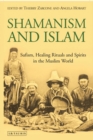 Image for Shamanism and Islam  : Sufism, healing rituals and spirits in the Muslim world