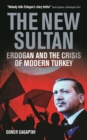 Image for The new sultan  : Erdogan and the crisis of modern Turkey