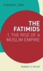 Image for The Fatimids  : the rise of a Muslim dynasty