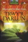 Image for Trwy&#39;r Darlun