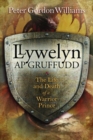 Image for Llywelyn ap Gruffudd  : the life and death of a warrior prince