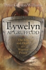Image for Llywelyn ap Gruffudd