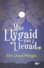 Image for Mae llygaid gan y lleuad