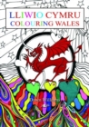 Image for Lliwio Cymru / Colouring Wales