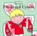 Image for Ffan Bach Pel-Droed Cymru