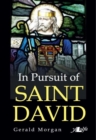 Image for In pursuit of Saint David