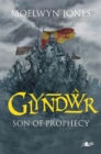 Image for Glyndwr: son of prophecy