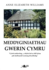 Image for Meddyginiaethau Gwerin Cymru