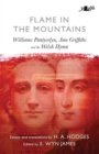 Image for Flame in the mountains: Williams Pantycelyn, Ann Griffiths and the Welsh hymn