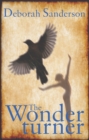 Image for The Wonder Turner
