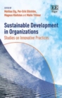 Image for Sustainable development in organizations  : studies on innovative practices