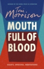Image for Mouth full of blood  : essays, speeches, meditations