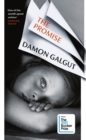The promise - Galgut, Damon