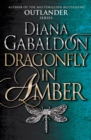 Image for Dragonfly in amber