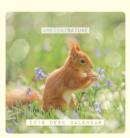 Image for Ambient Nature Desk Calendar