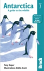 Image for Antarctica  : a guide to the wildlife