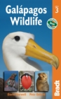 Image for Galapagos wildlife