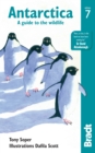 Image for Antarctica: a guide to the wildlife