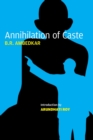 Image for Annihilation of caste  : the annotated critical edition