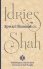 Image for Special illumination  : the Sufi use of humour
