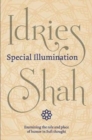 Image for Special Illumination : The Sufi Use of Humor