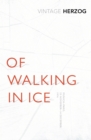 Image for Of walking in ice  : Munich-Paris, 23 November-14 December, 1974